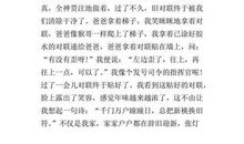 愉快的除夕夜初中作文