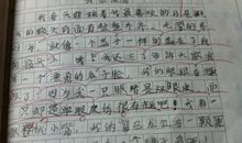 瞧这一家子学生作文