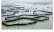 初三议论文：静水流深_800字