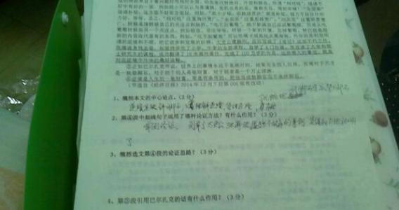 初三议论文：说将来_650字