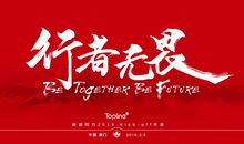 初三议论文：仰望星空与脚踏实地_900字