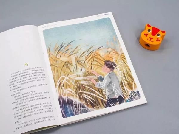 女儿读它整整两年，作文越来越好！ 21