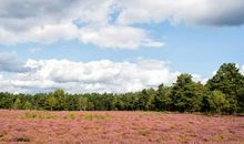 原创 优秀原创作文点评：《看似寻常》，观察三个片断，用心感悟