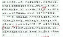 宽是害，严是爱 严格的爱500字作文