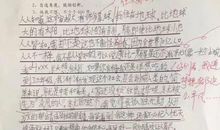 11岁小学生“佛系作文”走红：也许，我并不需要考哈佛北大