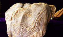 愚人得燕石的寓言故事