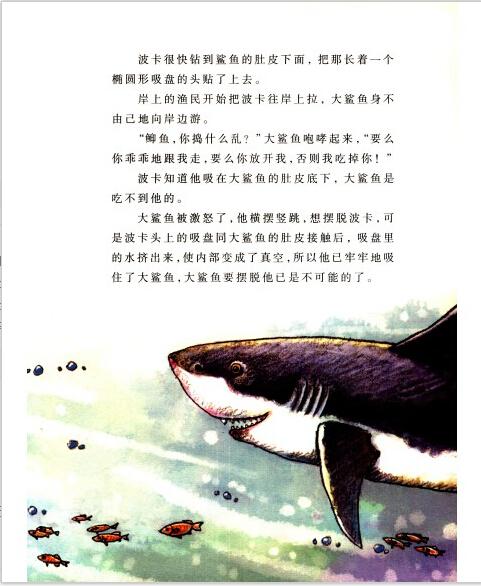 小蛙人漫游记带着武器的鱼读后感