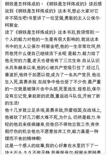 读钢铁是怎样炼成的读后感600字