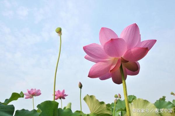 三年级作文:我的家乡 2