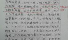 九年级关于石榴的作文800字