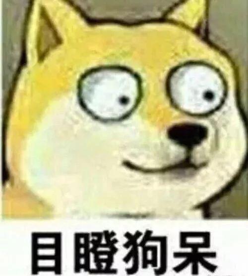 真正的神仙打架!即兴主持开口就是满分作文? 19