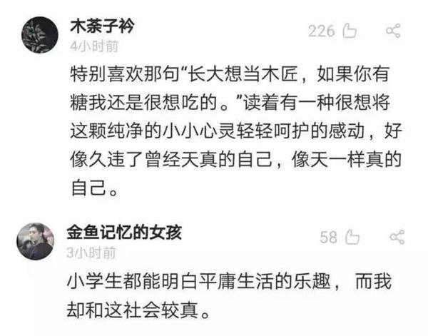 11岁小学生“佛系作文”走红：也许，我并不需要考哈佛北大 5