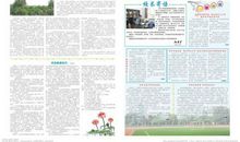 卖报纸学生作文