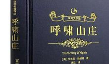 《呼啸山庄》读后感