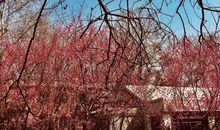 四六级作文点津（9）：前后的特征，主题句的拟定