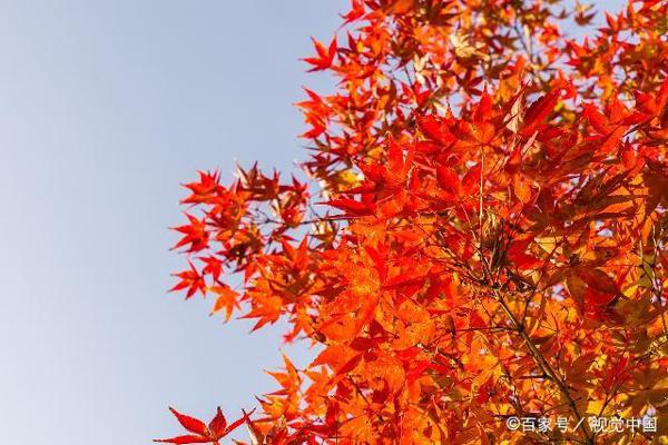 三年级作文:我的家乡 3