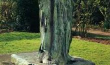 一儒老师讲作文（四）——详略得当