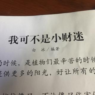 我是一个小财迷 我是小财迷作文700字