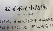 我是一个小财迷 我是小财迷作文700字