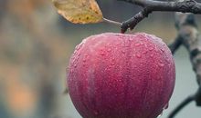 双师作文突破班∣优秀学员作文《东方教育时报》选刊（六）