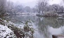 原创学生作文：《隆冬》