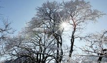 学习励志惜时语，作文写作好素材。关注收藏啦(50条)！