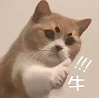 真正的神仙打架!即兴主持开口就是满分作文? 7