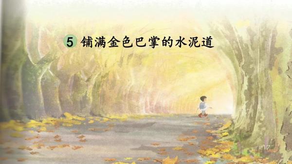 作文起步｜美丽的小花园 2
