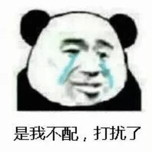 真正的神仙打架!即兴主持开口就是满分作文? 6