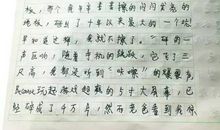 啊，实小真美好作文