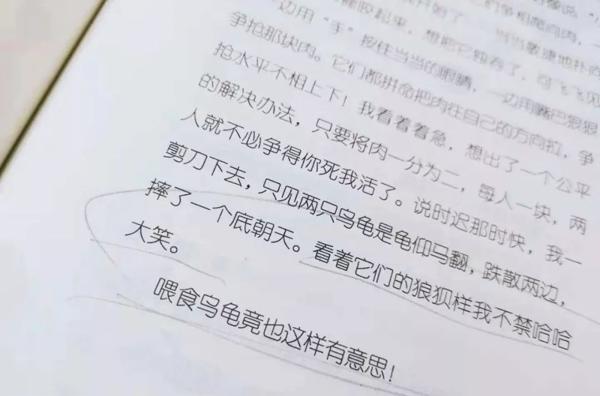 这样写作文，作文成绩还能加5分（寒假必读） 34