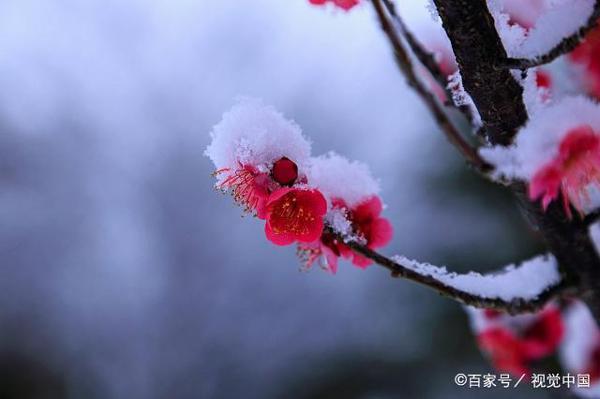 学习励志惜时语,作文写作好素材。关注收藏啦(50条)! 2