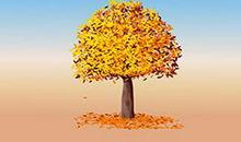 落叶也很美作文350字