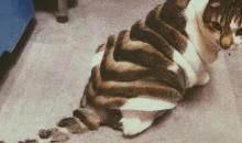 90后创业出得起国的还创个毛业