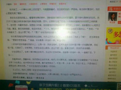 秋天的落叶作文范文550字