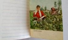 学农日记 五年级学生日记