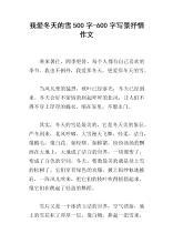 冬天的雪作文范文450字