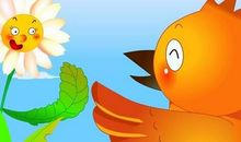 雏菊的童话故事