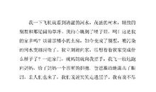 二十年后的家乡五年级作文500字