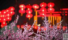 除夕之夜的花朵日记