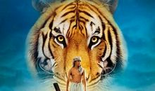 《少年派的奇幻漂流》观后感1500字