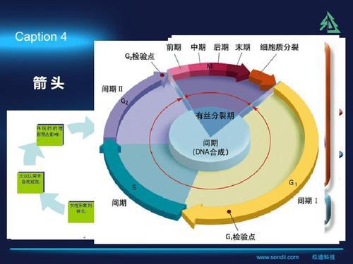 常用仪表的工程设计软件分析论文 1