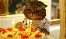 幽默段子 作文错别字