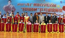 容国团乒乓球技术与夺冠之路论文