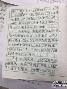 患难见真情写事作文850字