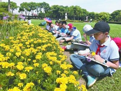 孩子怕作文吗？学会观察是前提 2