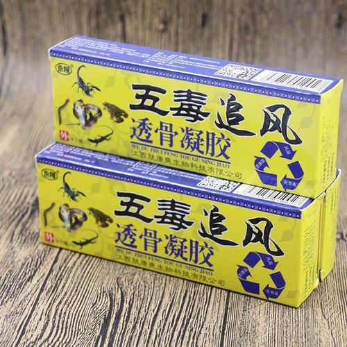 追风 高二作文600字