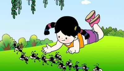 孩子怕作文吗？学会观察是前提 5