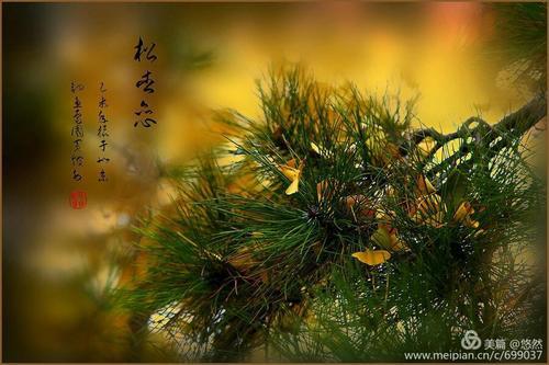 待来年，风吹起