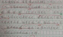 春天的花园作文450字